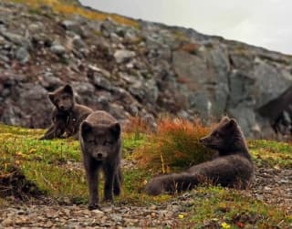 Snímek obrazovky 2022-01-10 130146